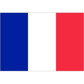 Bandera de Francia de Poliéster Microperforada Reforzada