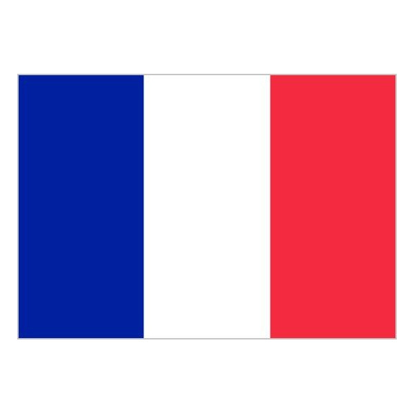 Bandera de Francia de Poliéster Microperforada Reforzada