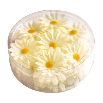 Margarita Decorativa 20 Unidades