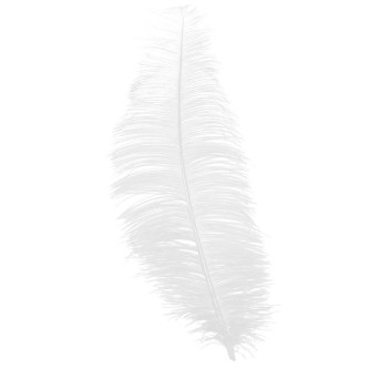 Pluma de Avestruz de 30 Centímetros de color Blanco