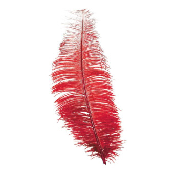 Pluma de Avestruz de 30 Centímetros de color Rojo