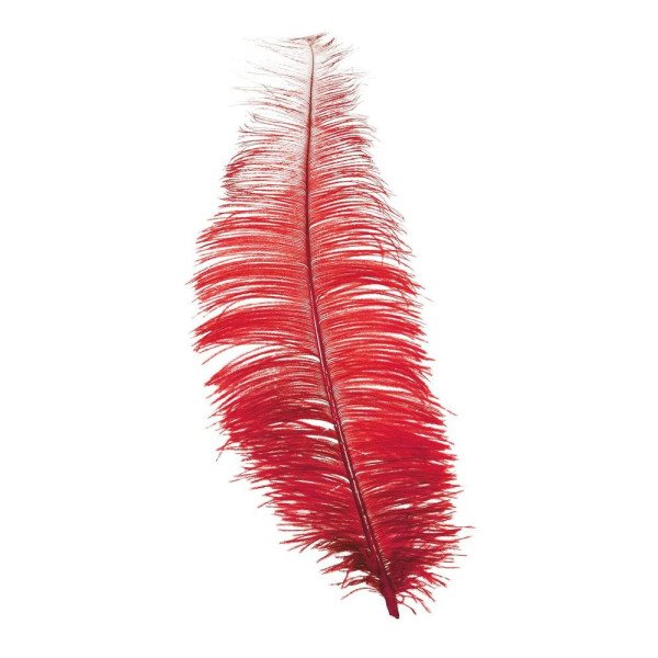 Pluma de Avestruz de 30 Centímetros de color Rojo