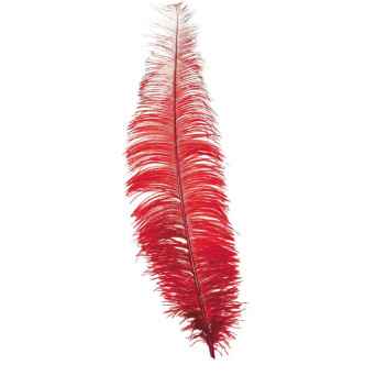 Pluma de Avestruz de 40 Centímetros de color Rojo